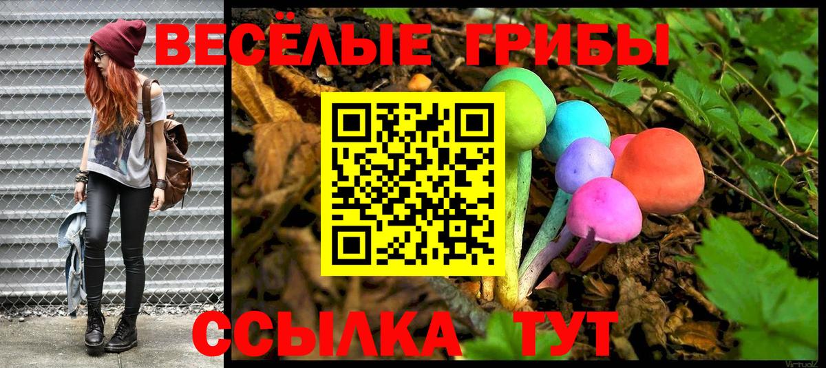 Псилоцибиновые грибы Cubensis Менделеевск